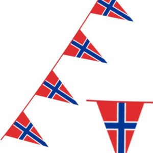 Norsk Flagg Vimpelbanner på 10 Meter