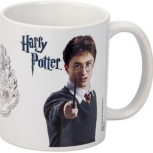 Harry Potter Kopp