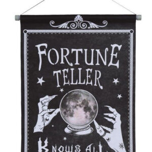Fortune Teller Poster 42x60 cm