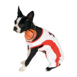 Basketball Spiller Hundekostyme