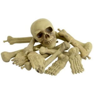 A Bag Of Bones Pynt