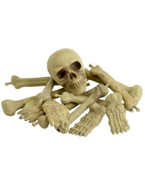 A Bag Of Bones Pynt