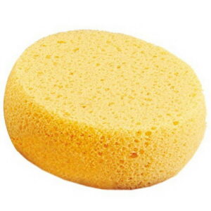 Foam Hydra Sponge Applicator - Mehron Sminkesvamp