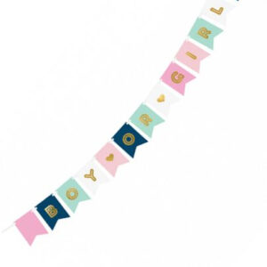 Boy or Girl Gender Reveal Banner 1