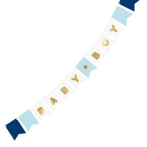 Baby Boy Gender Reveal Banner 1