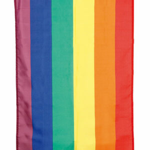 Regnbuefarget Flagg 150x90 cm