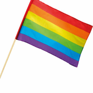 Stort Regnbuefarget Håndflagg 45x30 cm