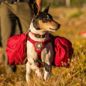 RuffWear Palisades Kløvveske Rød (S)