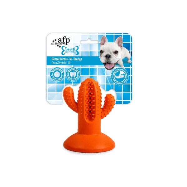 All for Paws Dental Cactus M Orange