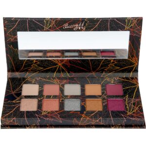 Barry M Eye Palette Fall In Love 2