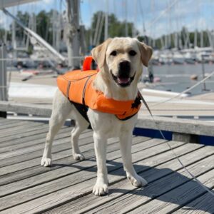 Basic Float Eco Flytevest Hund Orange (XS)