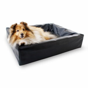 Bia Bed Ortho Hundeseng Svart (70x60x15 cm)