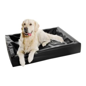 Bia Bed Ortho Hundeseng Svart (85x70x15 cm)