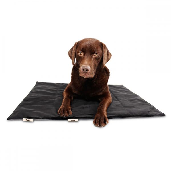 Bia Travel Outdoor Hundemadrass Svart (M)