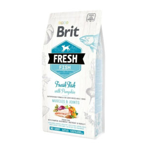 Brit Fresh Fish with Pumpkin Adult Large (2