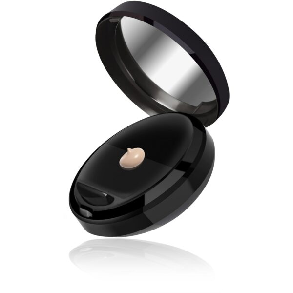 Cailyn Cosmetics Bb Fluid Touch Compact #01