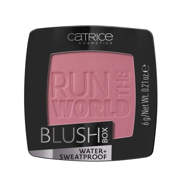 Catrice Blush Box 040