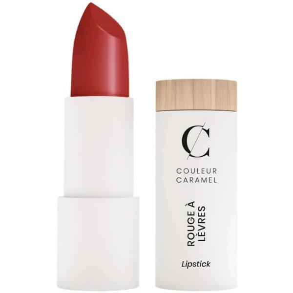 Couleur Caramel Matte Lipstick  n°120 Dark red