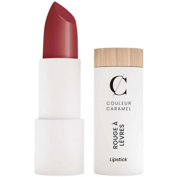 Couleur Caramel Satin Lipstick n°223 Deep red