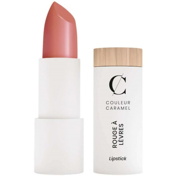 Couleur Caramel Satin Lipstick n°254 Rusty pink