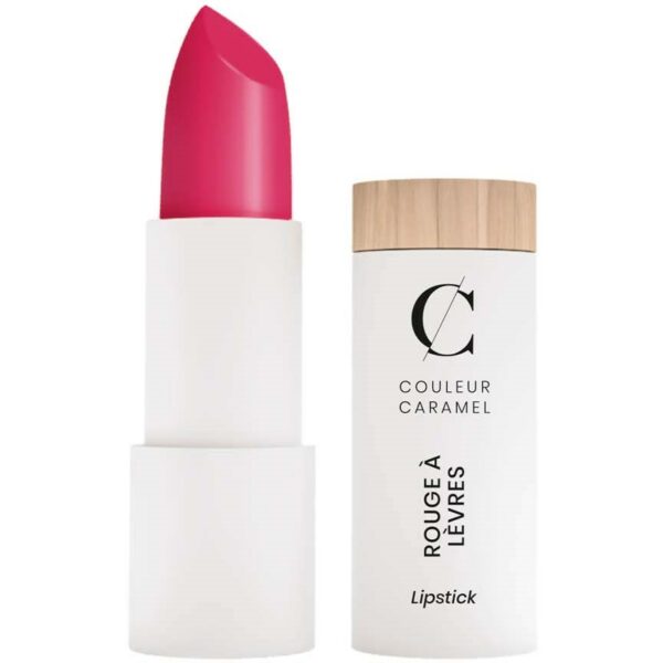 Couleur Caramel Satin Lipstick n°502 French rose