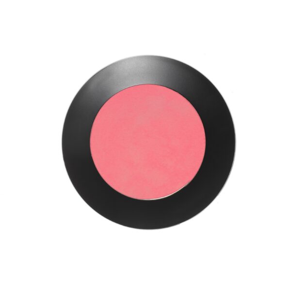 EMITÉ MAKE UP Artist Colour Powder Blush Bour