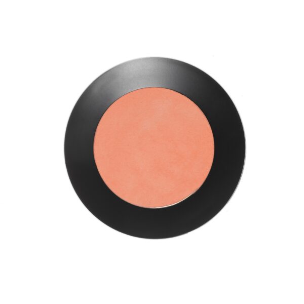 EMITÉ MAKE UP Artist Colour Powder Blush Peac