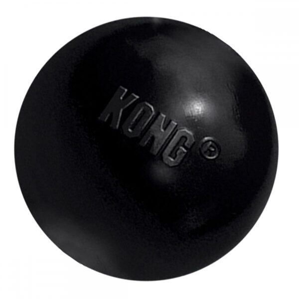 KONG Extreme Ball (Large)