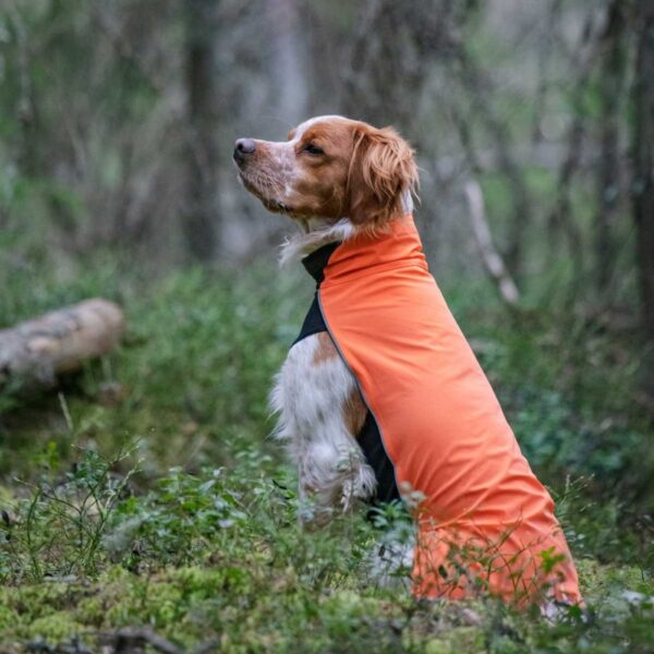 Feel Active Drammen Hundegenser Oransje (30 cm)