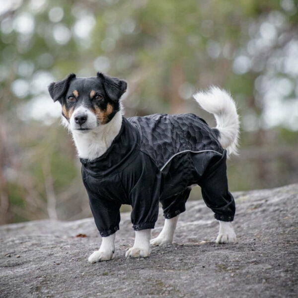 Feel Active Nimble Hundeoverall Svart (25 cm)