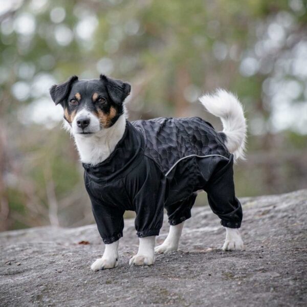 Feel Active Nimble Hundeoverall Svart (30 cm)