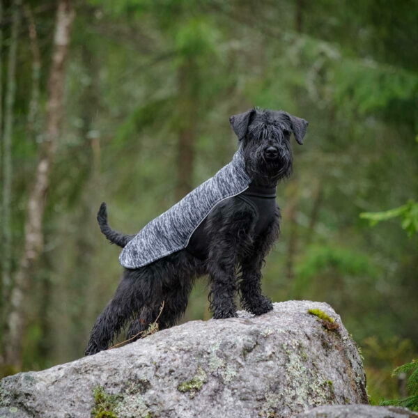 Feel Active Salla Hundegenser Grå (35 cm)