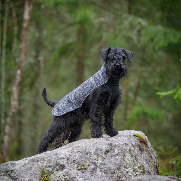 Feel Active Salla Hundegenser Grå (40 cm)