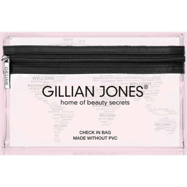 Gillian Jones Check Inbag Transparent