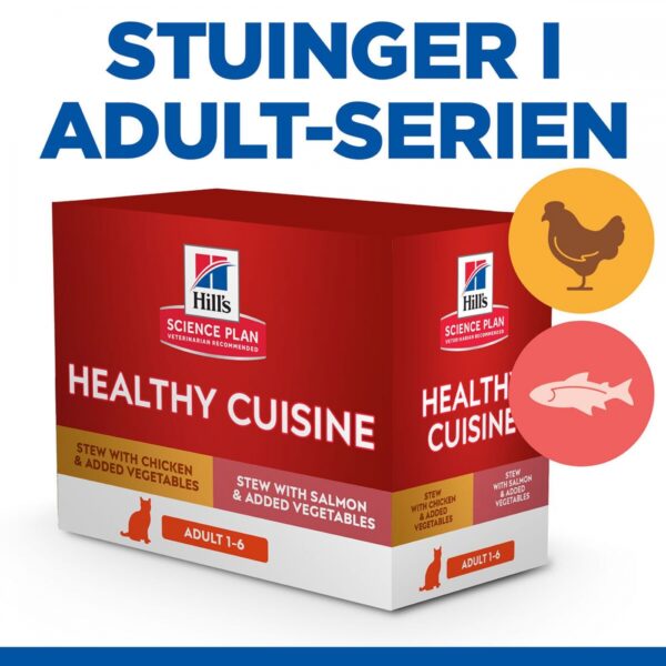 Hill's Science Plan Feline Adult Healthy Cuisine Chicken & Salmon 12x80 g