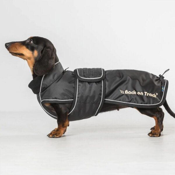 Back on Track Buddy Hundedekken Sort (62 cm)