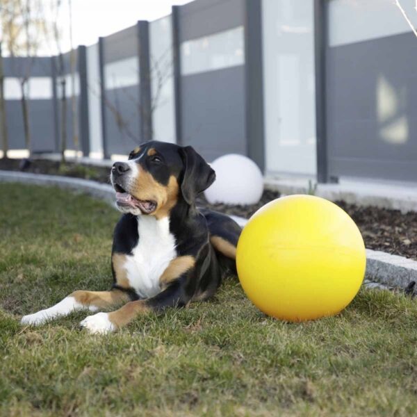 Kerbl Ball til Hund Hard Plast 30 cm