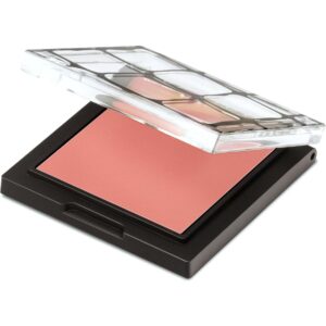 Make Up Store Blush Apricot