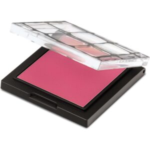 Make Up Store Blush Berry