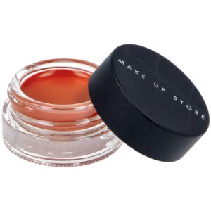 Make Up Store Lip Pot Coral