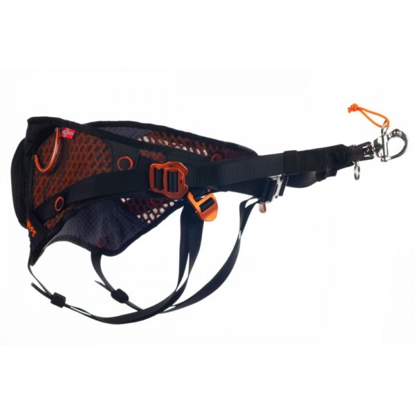 Non-Stop Dogwear Magebelte til hund Svart & Oranje (S)