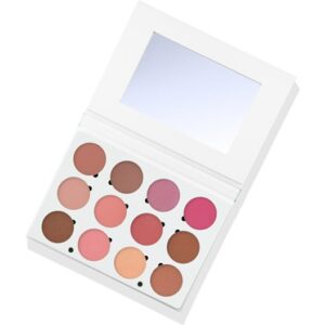 OFRA Cosmetics Rouge Professional Blush Palette