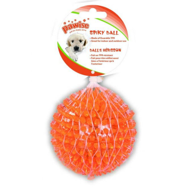 Pawsie TRP Piggball Orange