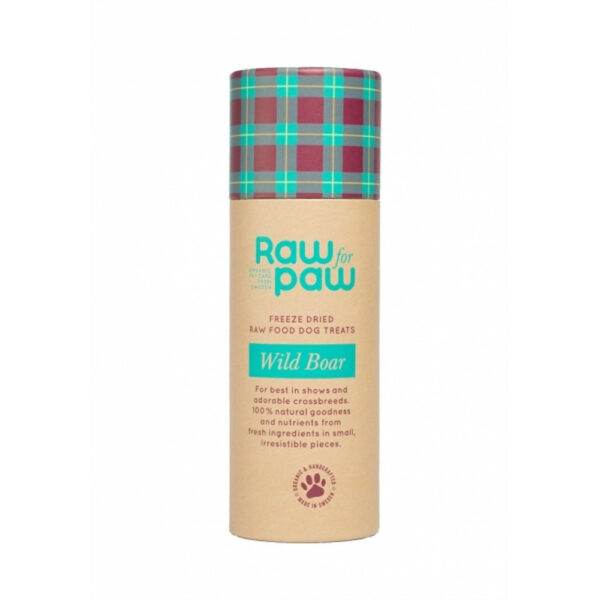 Raw for Paw Wild Boar 38 g