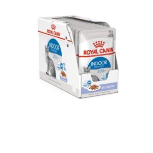 Royal Canin Indoor in Jelly Adult