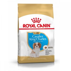 Royal Canin Cavalier King Charles Puppy (1