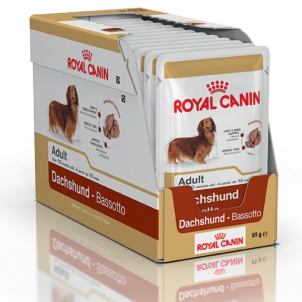 Royal Canin Tax/Dachshund Wet (12x85g)