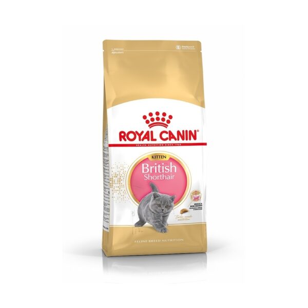 Royal Canin British Shorthair Kitten (2 kg)