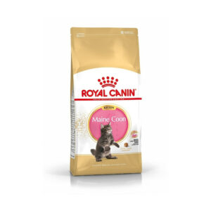 Royal Canin Maine Coon Kitten (4 kg)