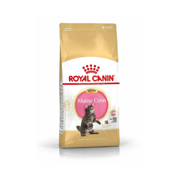 Royal Canin Maine Coon Kitten (4 kg)